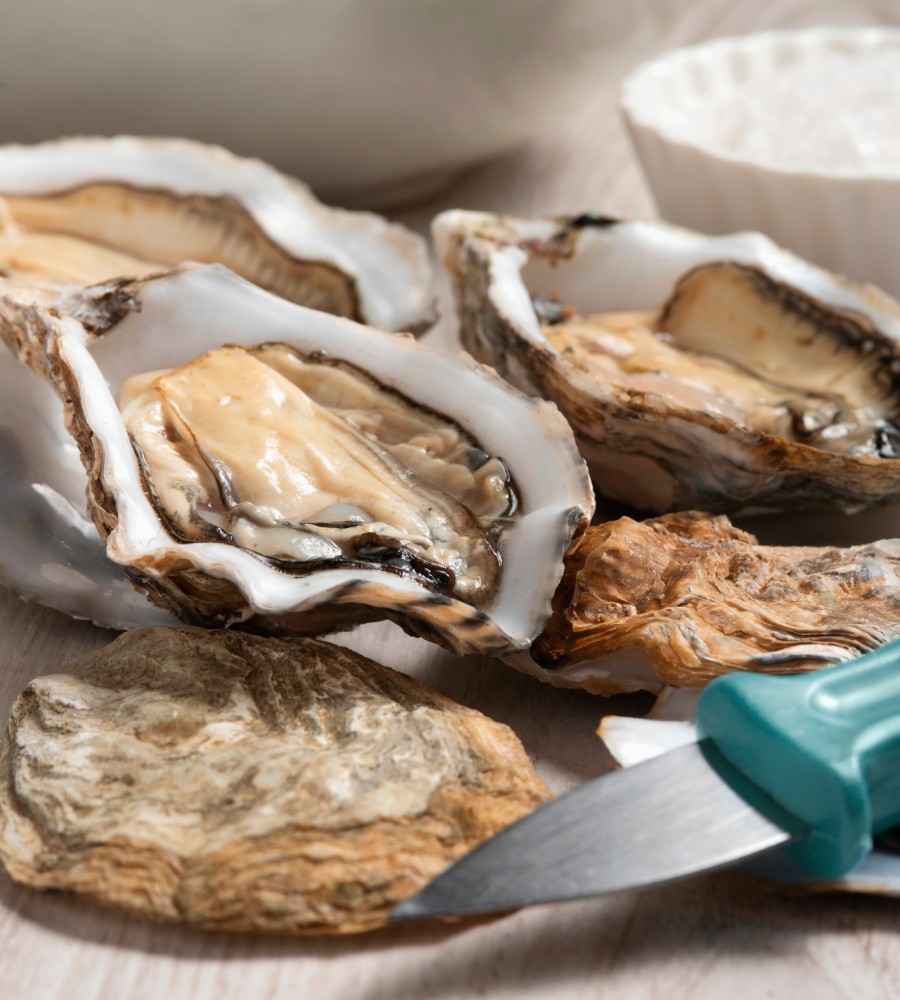 Producteur d'huîtres et moules Producteur d'huîtres et moules